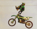 edgart1.gif (82098 byte)