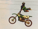 edgart2.gif (78267 byte)