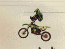 edgart3.gif (63153 byte)