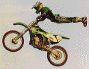 edgart4.gif (85644 byte)