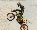 edgart6.gif (78108 byte)