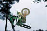 t10.jpg (13190 byte)