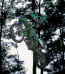 t11.jpg (32503 byte)