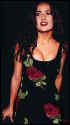 salma5.jpg (35524 byte)
